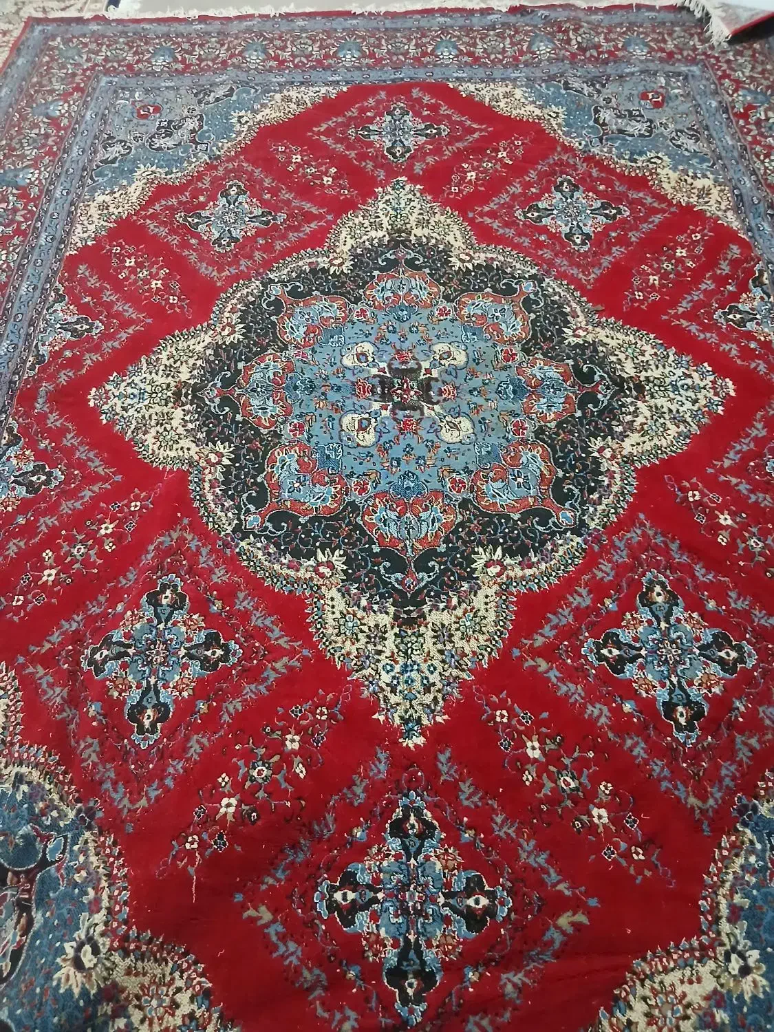 فرش دوازده متری|فرش|تربت‌حیدریه, رضاشهر|دیوار