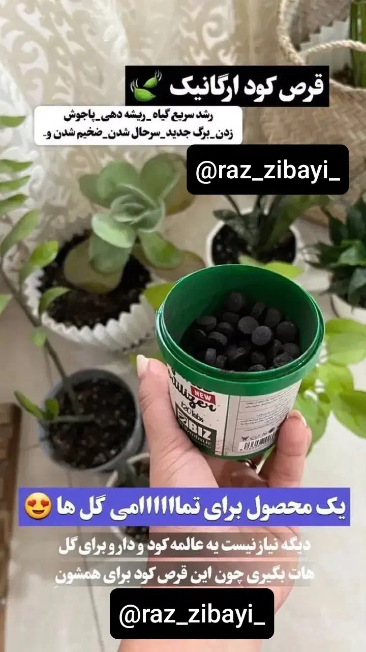 قرص کود|گل و گیاه طبیعی|سبزوار, هویزه|دیوار