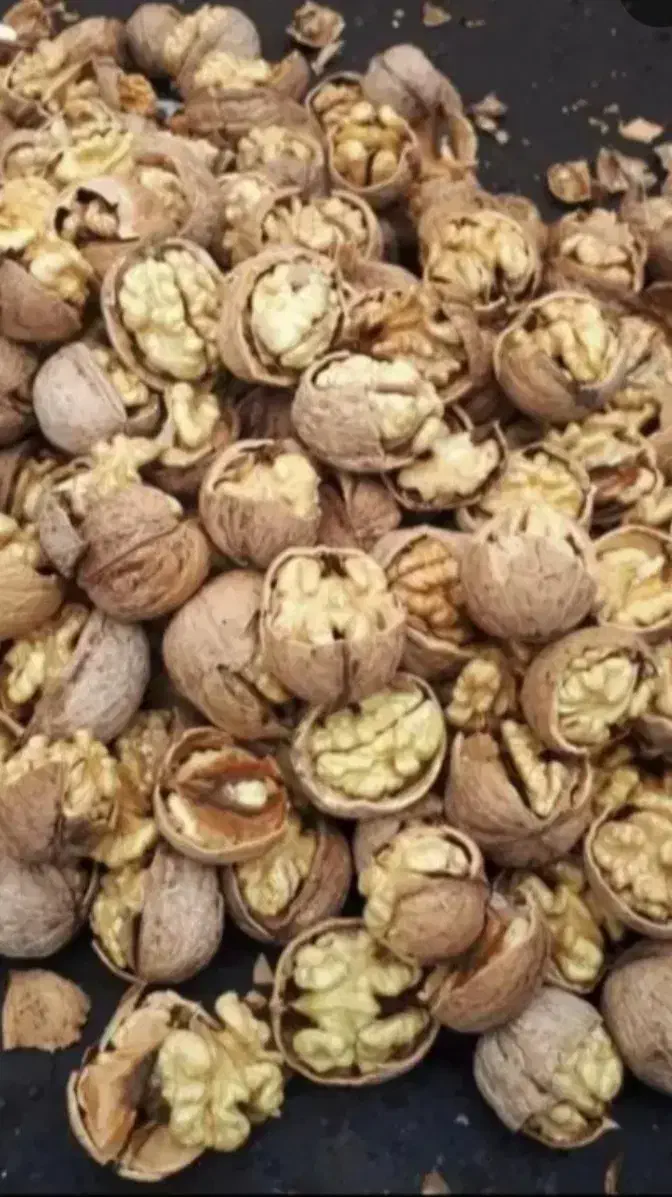 گردو ی زنوز|خوردنی و آشامیدنی|مرند, |دیوار