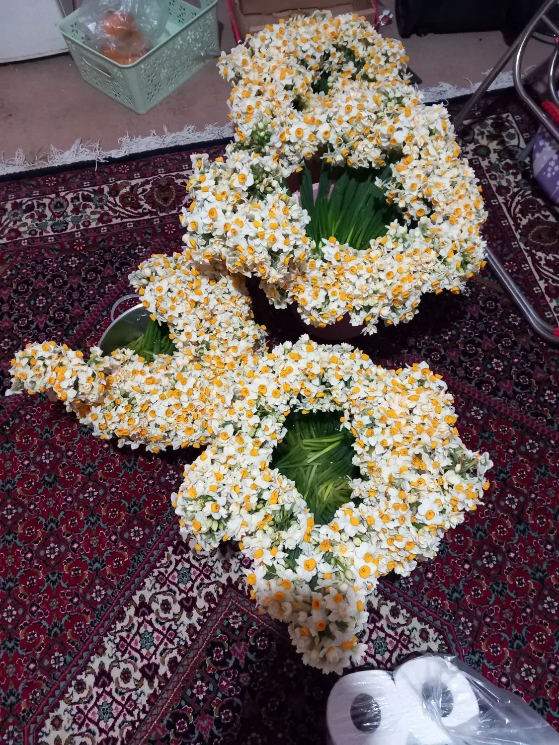 گل نرگس|گل و گیاه طبیعی|معمولان, |دیوار