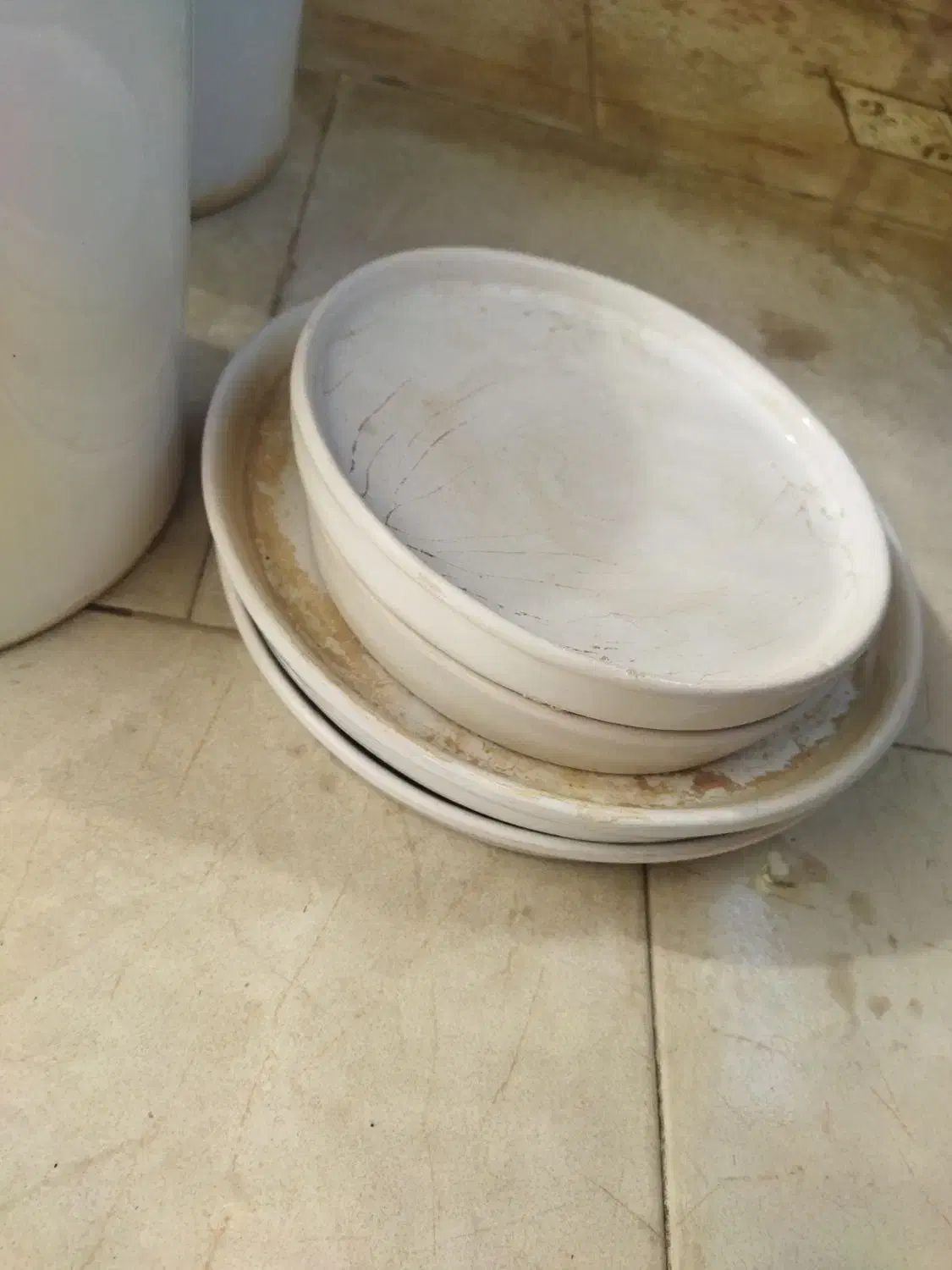 گلدان سرامیکی|گل و گیاه طبیعی|یزد, |دیوار