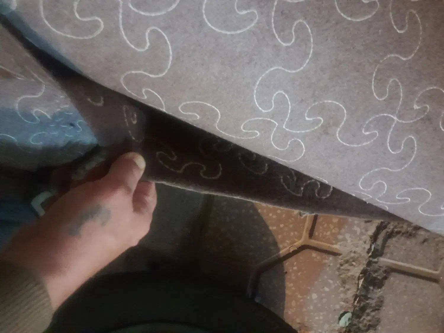 موکت ظریف مصور شکلاتی|موکت|سنندج, |دیوار