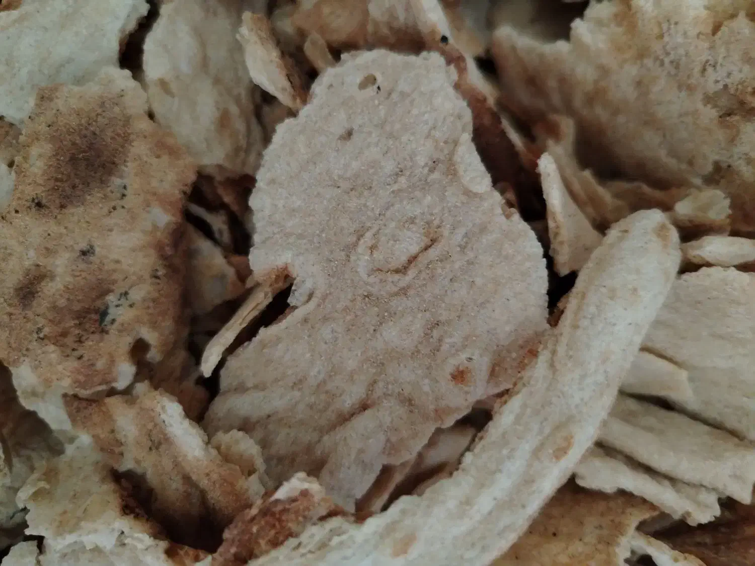 نان خشک برای دام|حیوانات مزرعه|سبزوار, جوادیه شرقی|دیوار