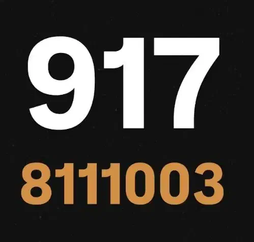 0917-580-8009|سیمکارت|شیراز, معالیآباد|دیوار