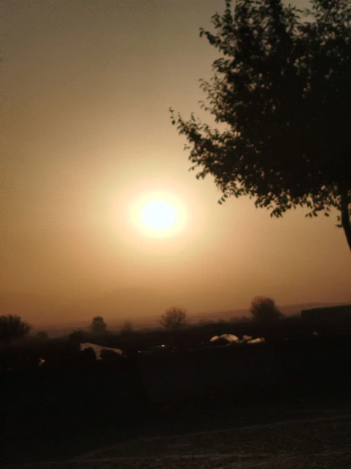 راهنمایی|فعالیت داوطلبانه|یزد, |دیوار