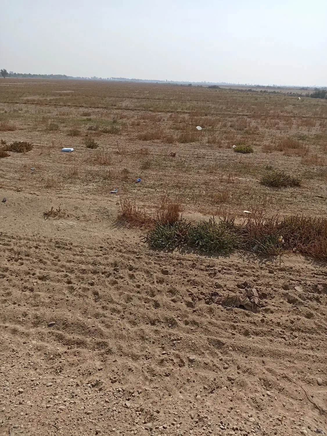 اجاره زمین کشاورزی|اجارهٔ کوتاهمدت ویلا و باغ|هندیجان, |دیوار