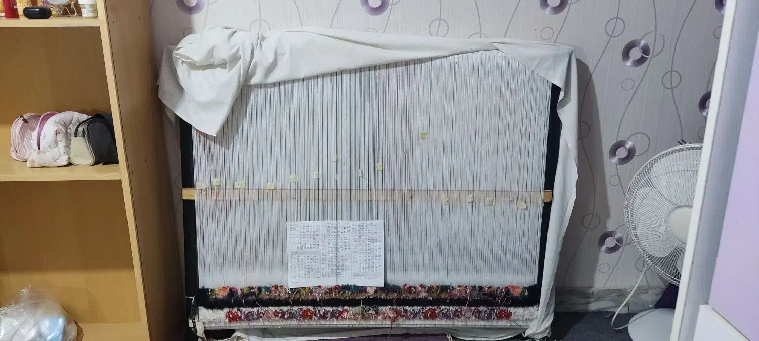 قالی نیمه بافت .زرنیم سالاری|فرش|سهند, |دیوار