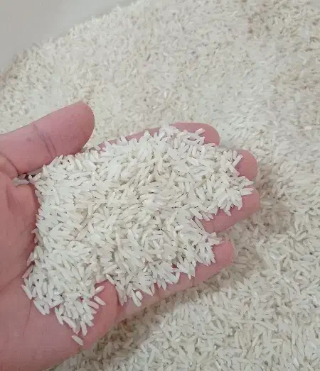 برنج هاشمی شمالی ،،به شرط پخت|خوردنی و آشامیدنی|شیراز, قصرالدشت|دیوار
