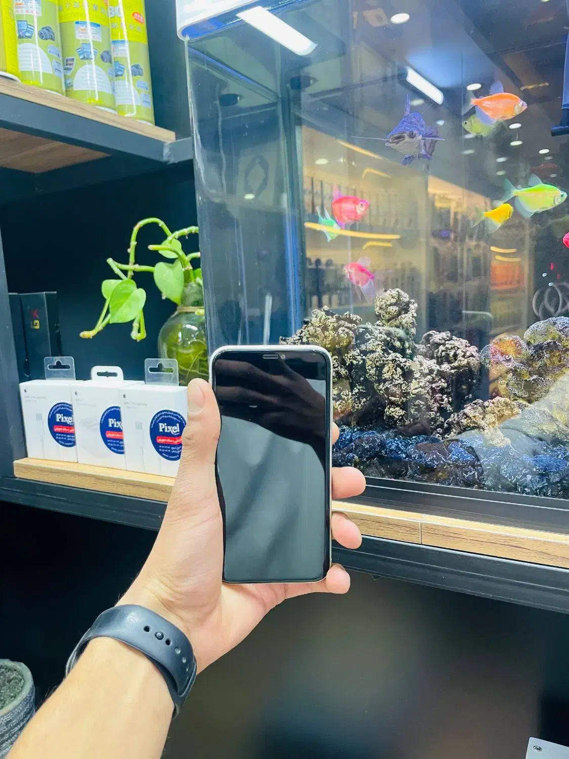 iphone11 خاص برای یک آدم خاص پسند|موبایل|مشهد, کوی ولیعصر|دیوار