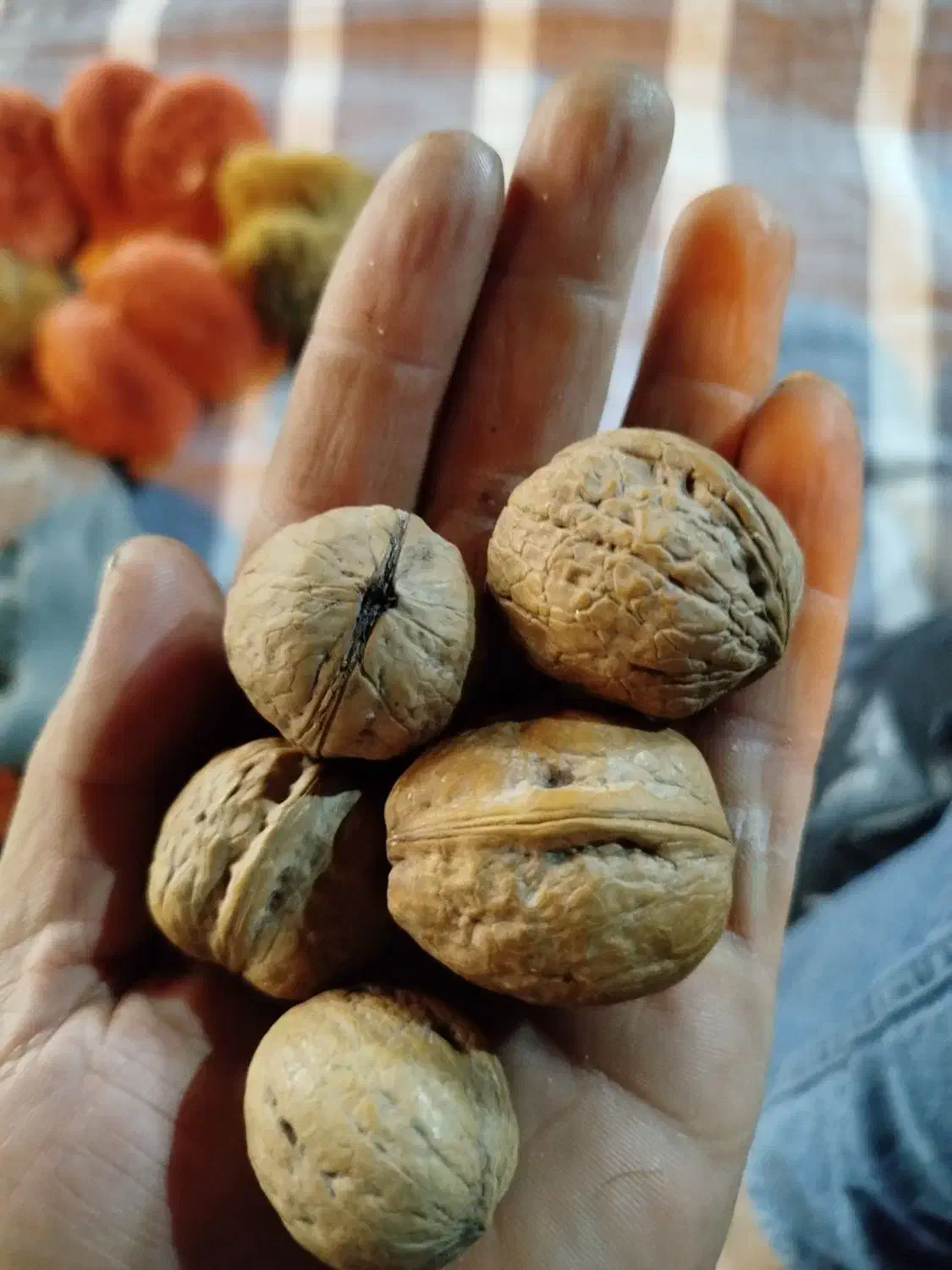 خشکبار|عمده‌فروشی|کرج, المهدی|دیوار