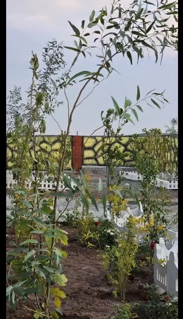 باغچه ۲۱۵ متر.سند دار .چار دیواری شده|فروش زمین و ملک کلنگی|رباطکریم, رباطکریم|دیوار