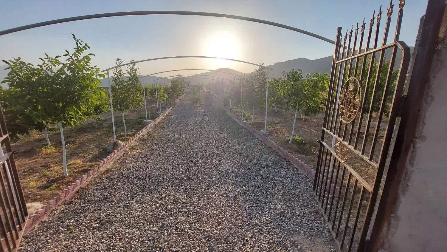 باغ|فروش دفتر صنعتی، کشاورزی، تجاری|دورود, |دیوار