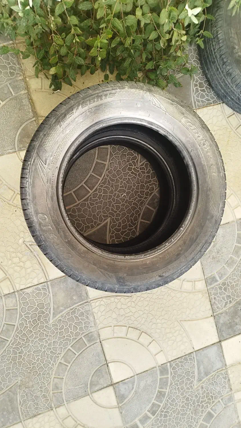 لاستیک سمند|قطعات یدکی و لوازم جانبی|کبودرآهنگ, |دیوار