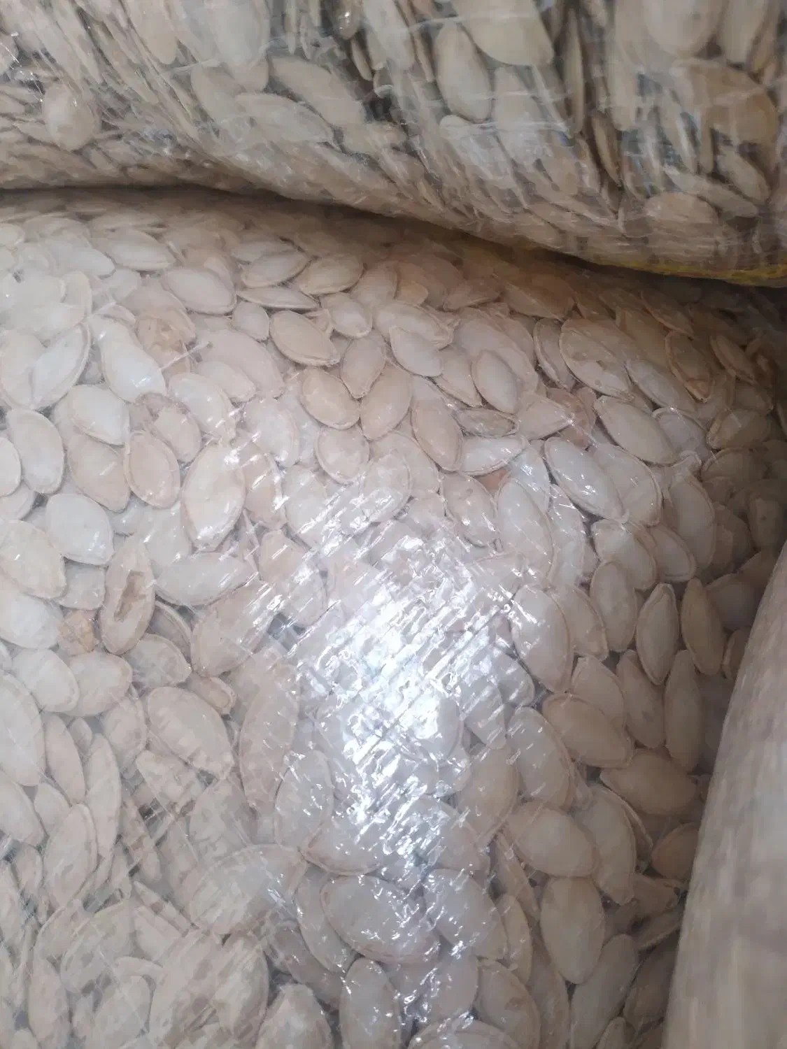 کدو گوشتی ممتاز|عمده‌فروشی|سنندج, |دیوار