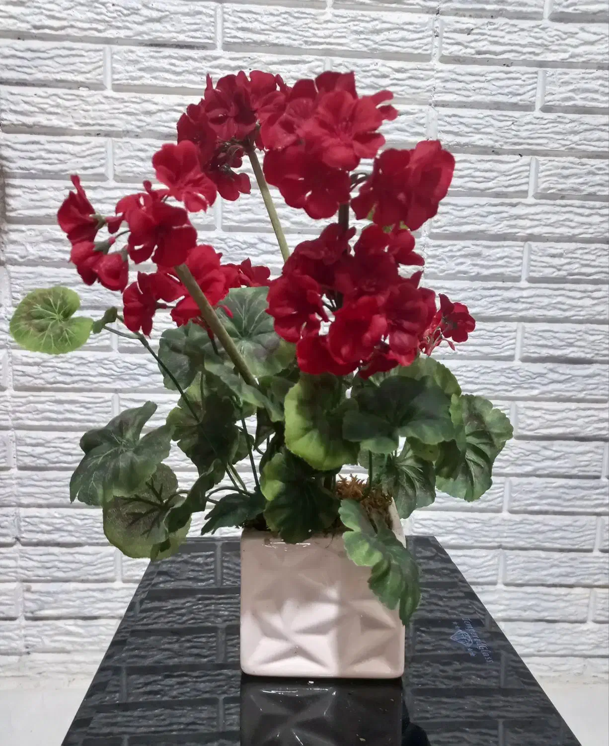 شمعدانی زیبا|گل مصنوعی|ساری, |دیوار