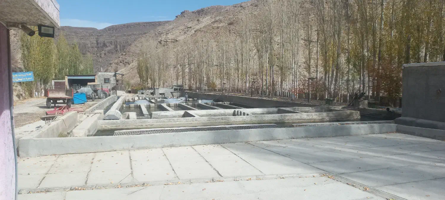 نیروی کار|استخدام سرایداری و نظافت|قوچان, |دیوار