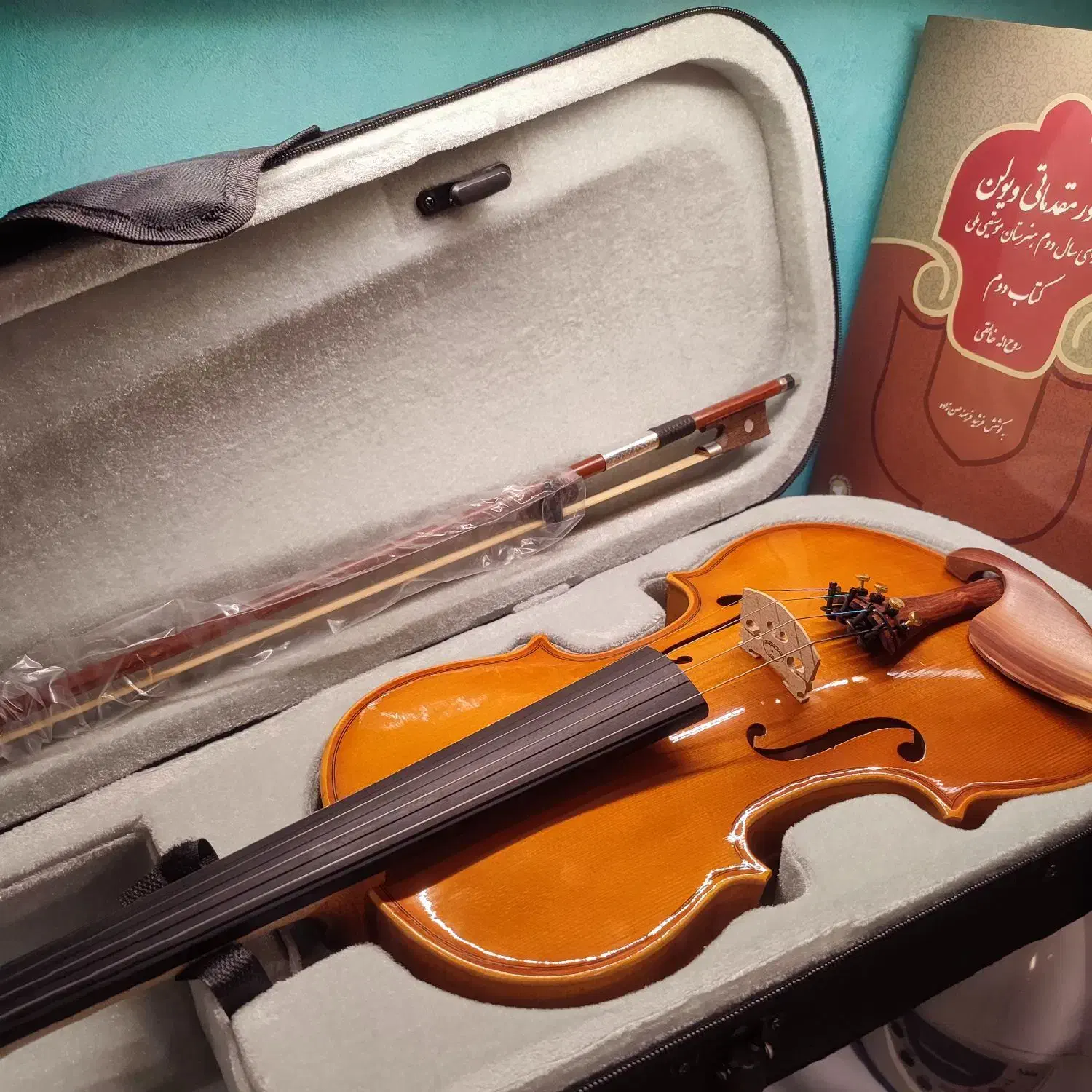 ویولن|ویولن|اصفهان, شاهزید|دیوار