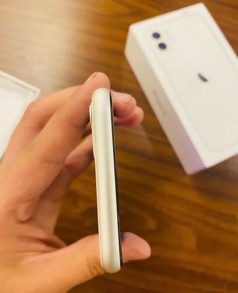 Iphone 11|موبایل|قم, شهرک قدس|دیوار