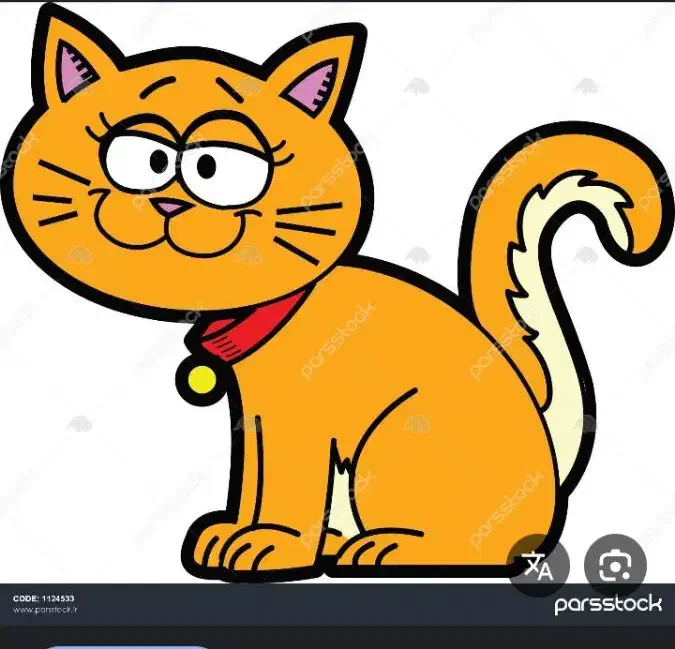 گم شدن گربه|گربه|بندر گناوه, |دیوار