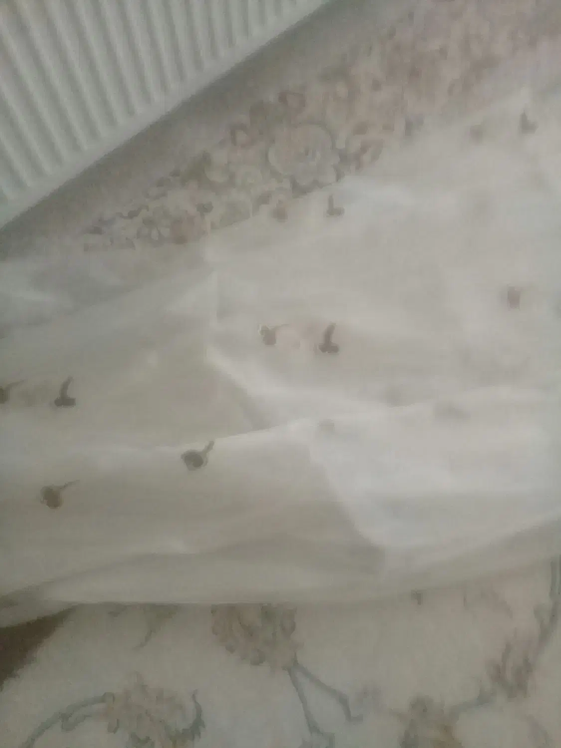 پرده و فرش|فرش|بیرجند, |دیوار