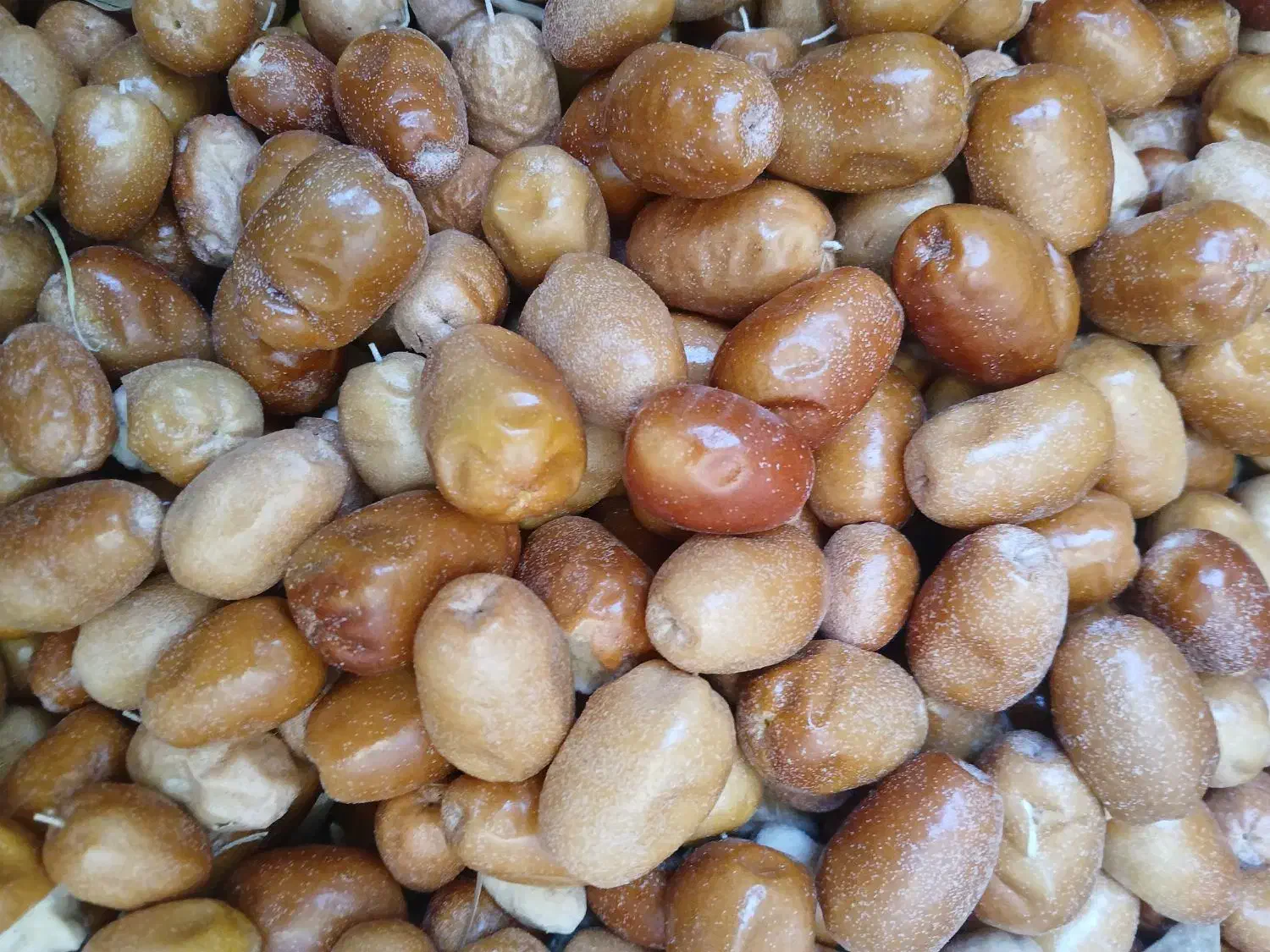 سنجد خشک شده امسال|خوردنی و آشامیدنی|شیراز, درکی|دیوار