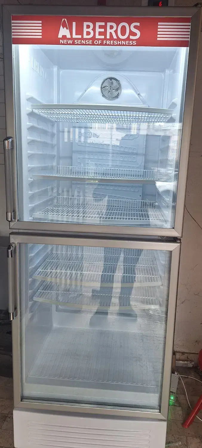 یخچال|فروشگاه و مغازه|رشت, کاکتوس|دیوار