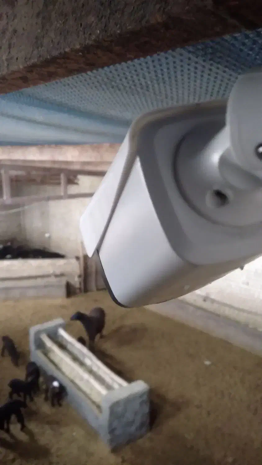 نصاب دوربین و دزدگیر|خدمات پیشه و مهارت|نهاوند, |دیوار