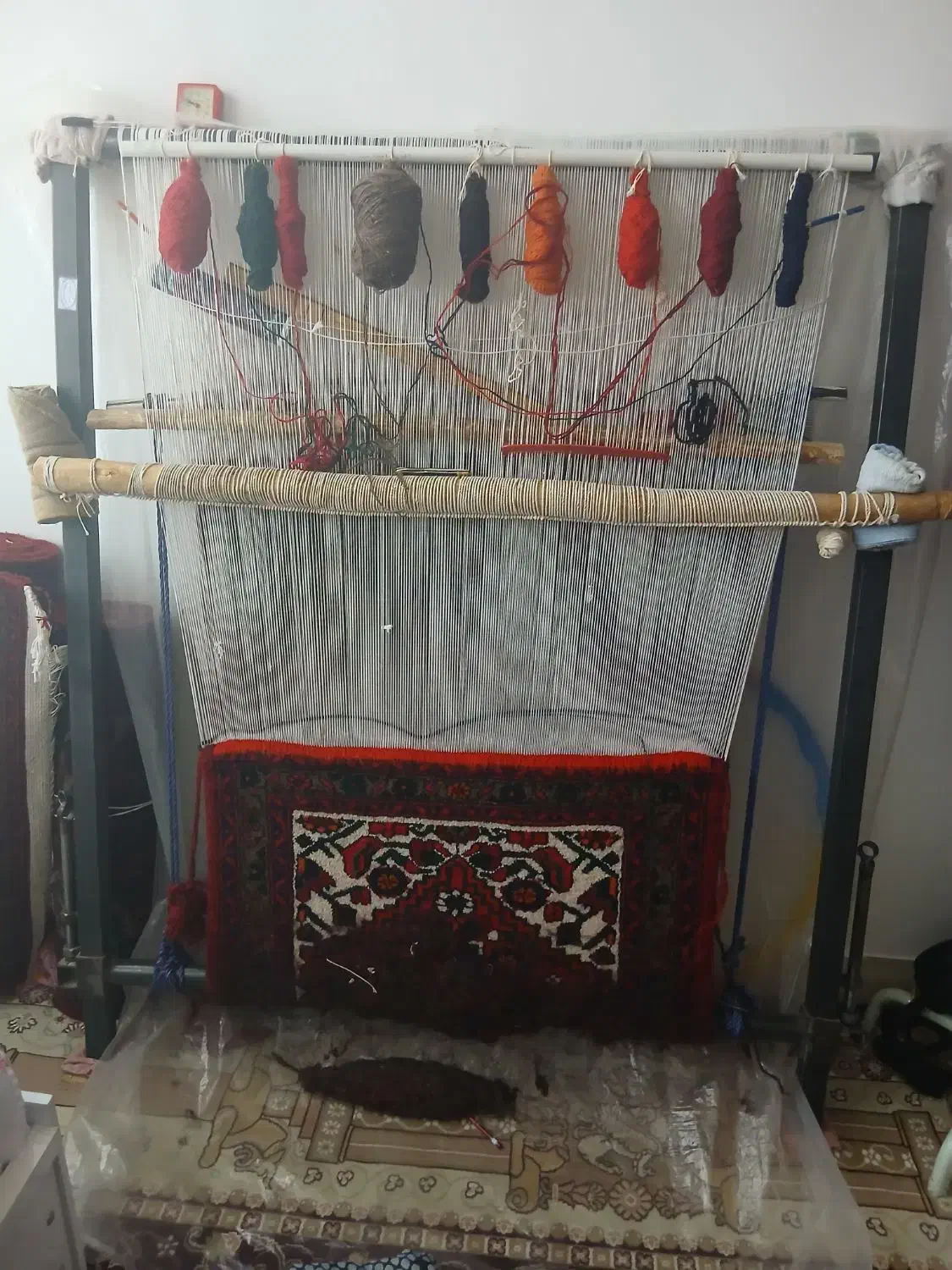 دار قالی زرنیم|ابزارآلات|قیدار, |دیوار