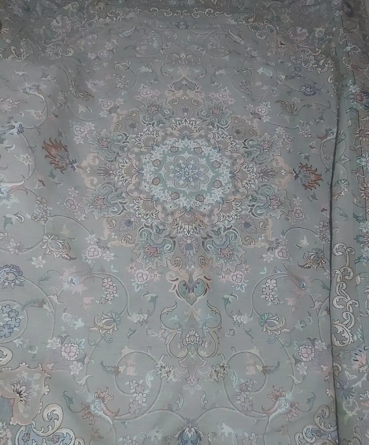 روفرشی رنگ فیلی|روفرشی|خرمشهر, |دیوار