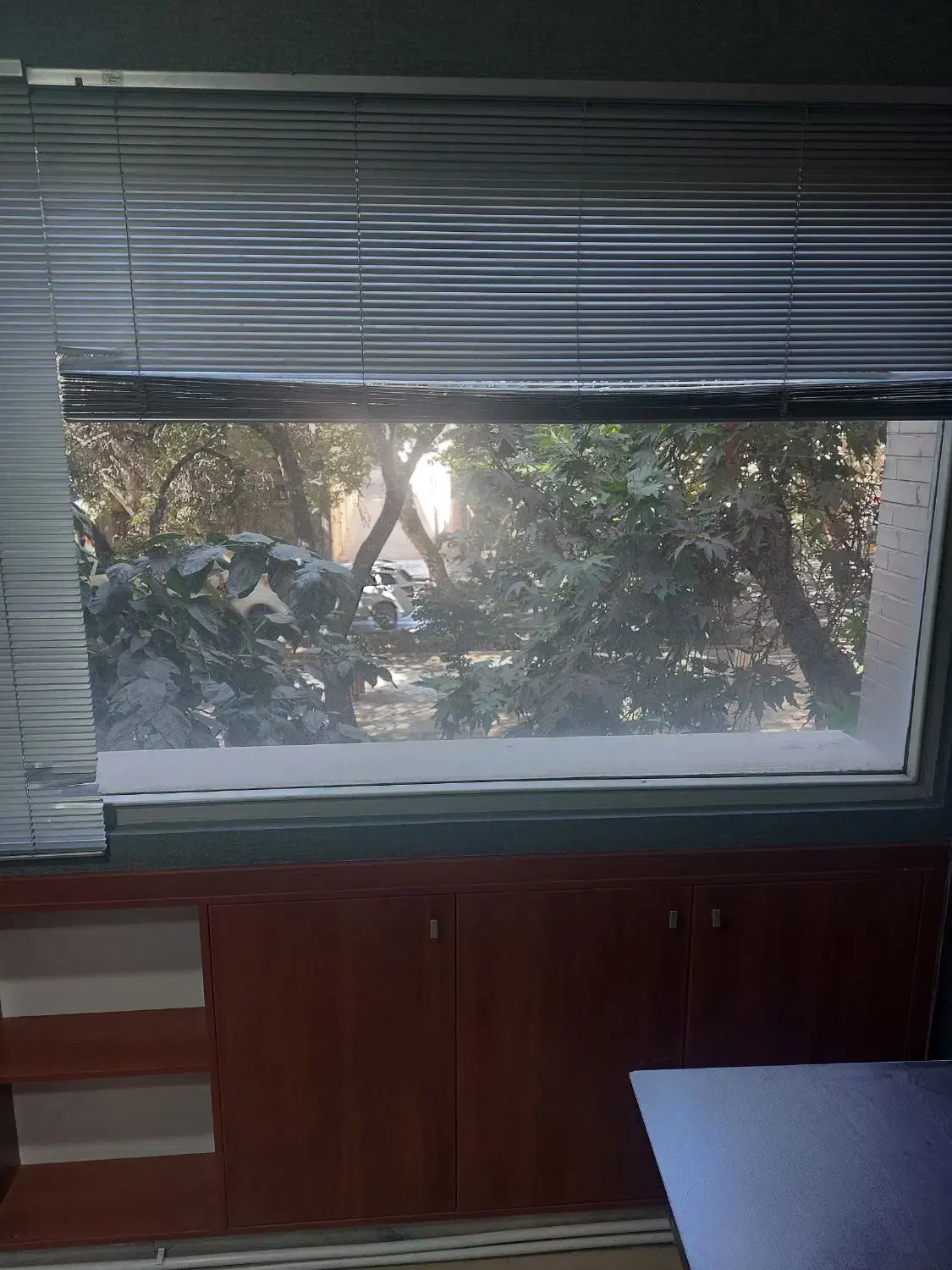 اجاره یک اتاق از مطب پزشک زیبایی|اجارهٔ دفتر کار، اتاق اداری، مطب|اصفهان, خواجو|دیوار