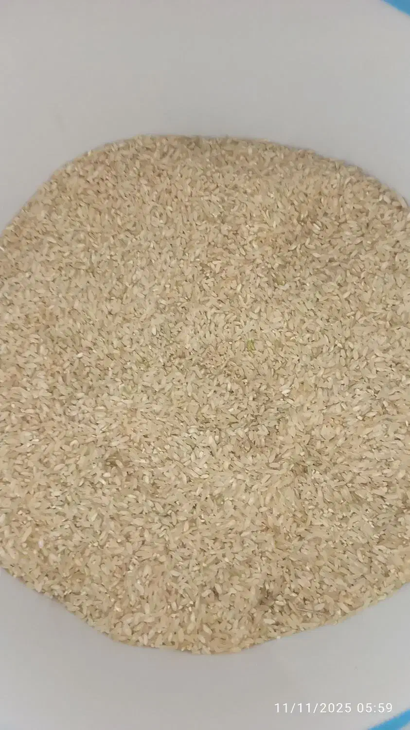 فروش بهترین برنج استان|خوردنی و آشامیدنی|چیتاب, |دیوار