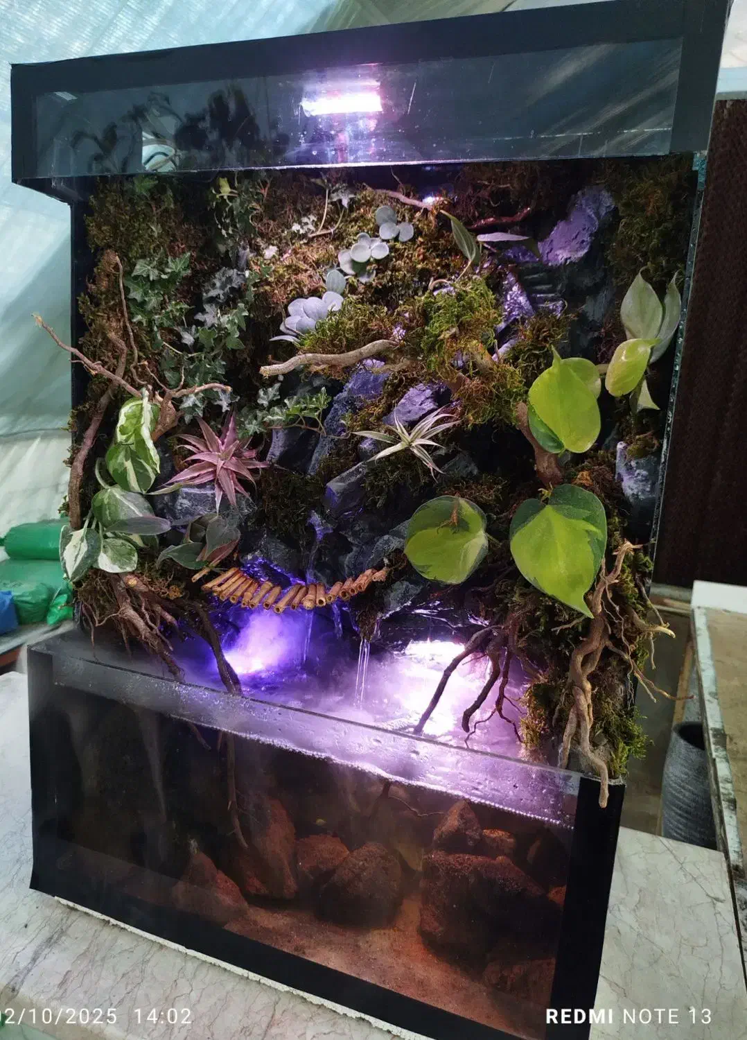 پالاداریوم شیک و زیبا همراه با گیاهان طبیعی|ماهی|زاهدان, |دیوار