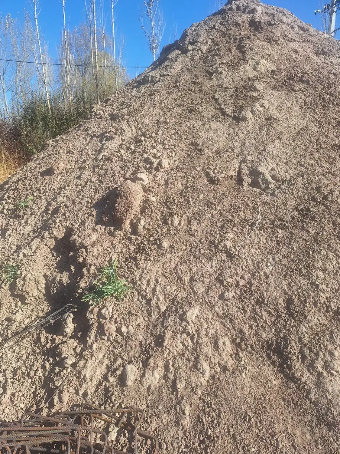 خاک زراعی|خدمات باغبانی و درختکاری|سرعین, |دیوار