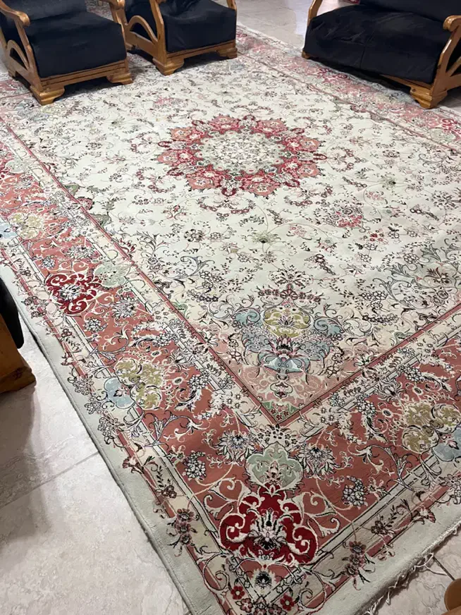 فرش ۱۲ متری|فرش|رشت, کاکتوس|دیوار