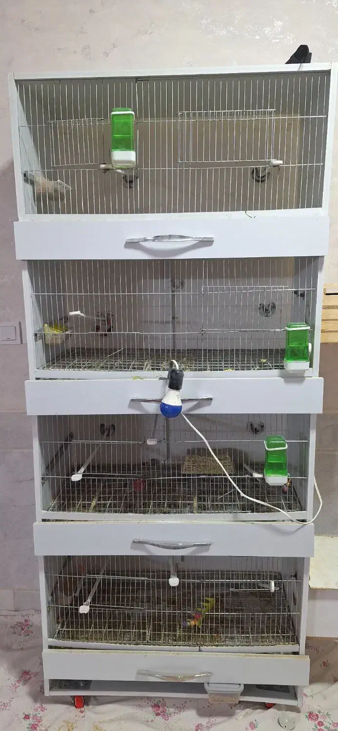 قفس چهار طبقه|لوازم جانبی حیوانات|شهرضا, |دیوار