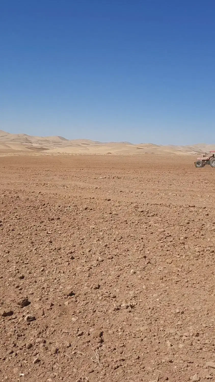 زمین رهنی به مساحت 6 هکتار|فروش زمین و ملک کلنگی|کلیائی, |دیوار