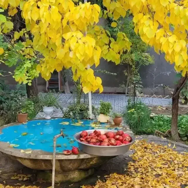 همسفر و همراهی|فعالیت داوطلبانه|قم, حمام تالار|دیوار