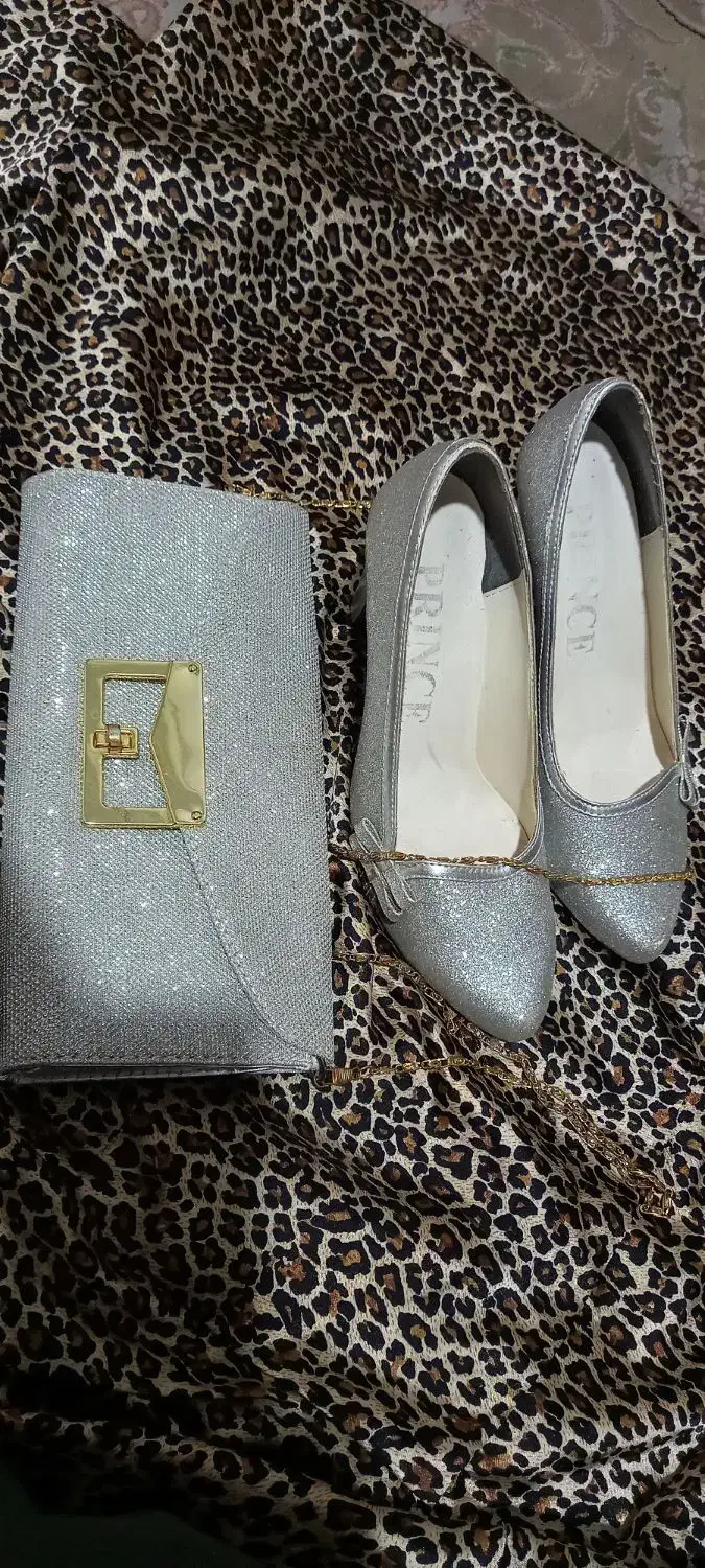 ست کیف وکفش شاین ودوجفت مجلسی|کیف، کفش، کمربند|ساری, |دیوار
