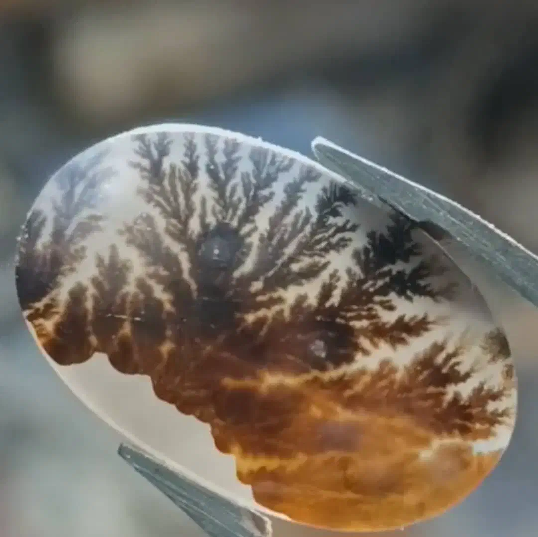 سنگ و نگین های انگشتر  و پلاک گردنی|جواهرات|شیراز, زرهی|دیوار