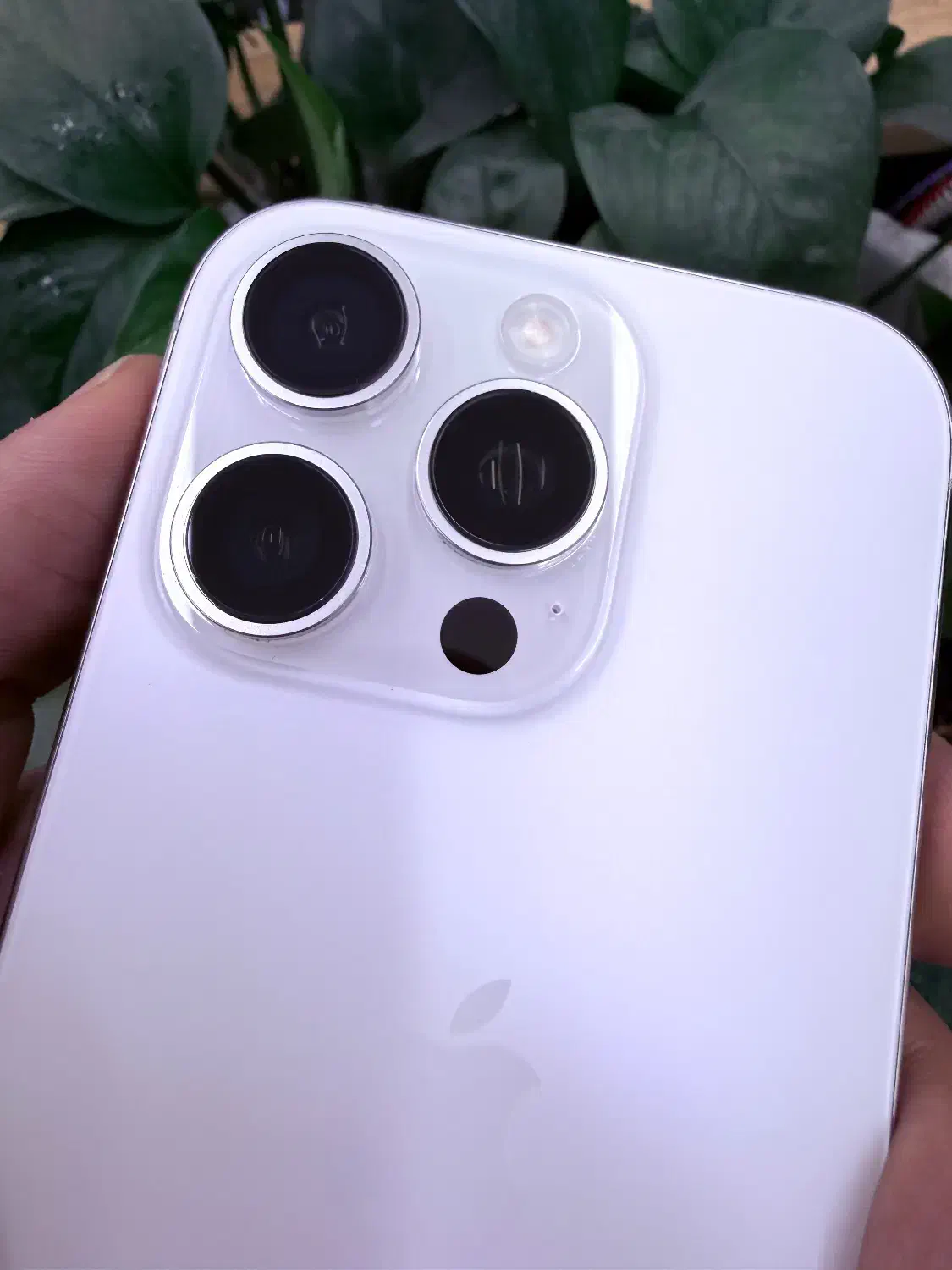 Iphone 16 pro|موبایل|شیراز, میرزاکوچک خان|دیوار