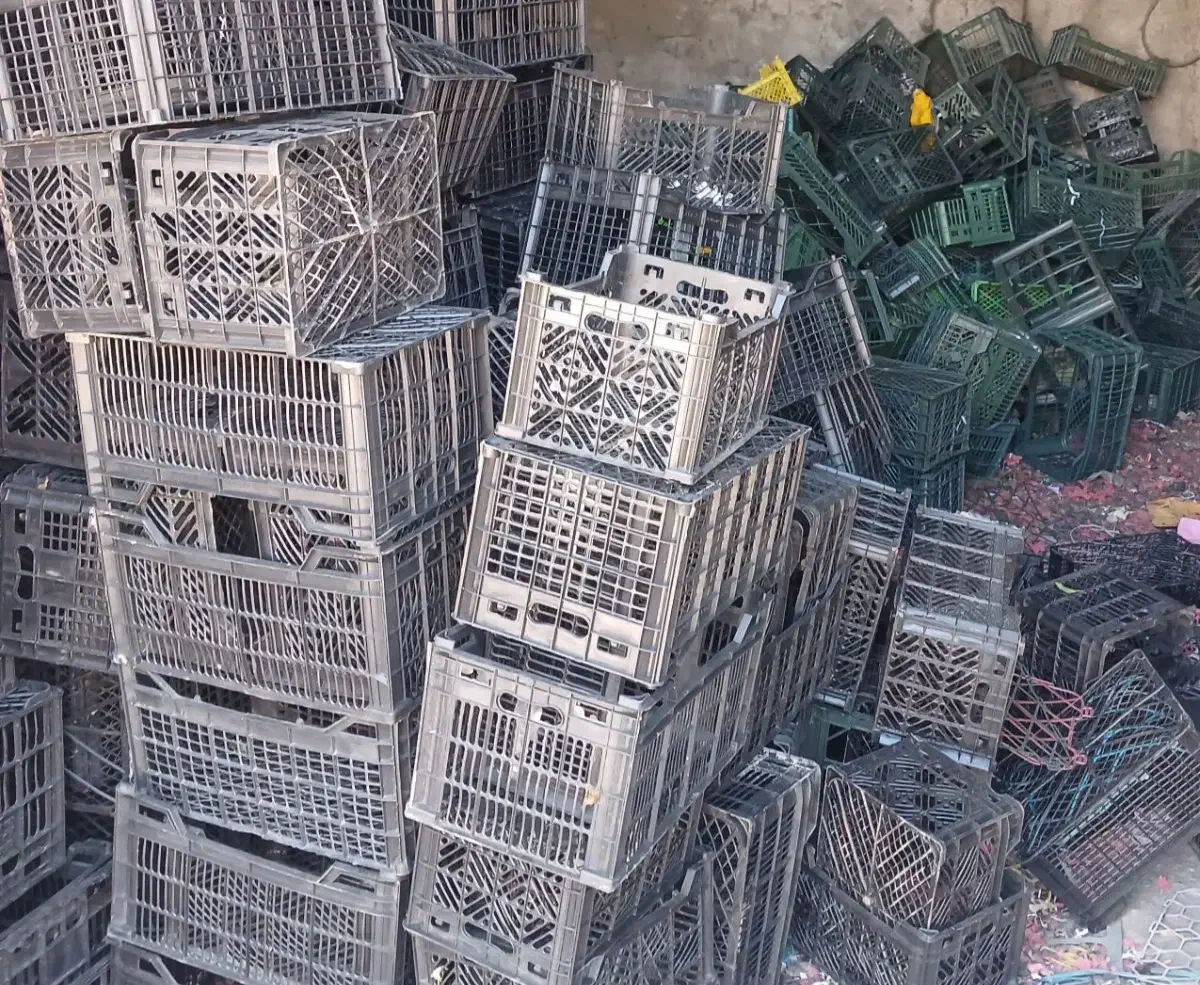 سبد میوه|فروشگاه و مغازه|جونقان, |دیوار