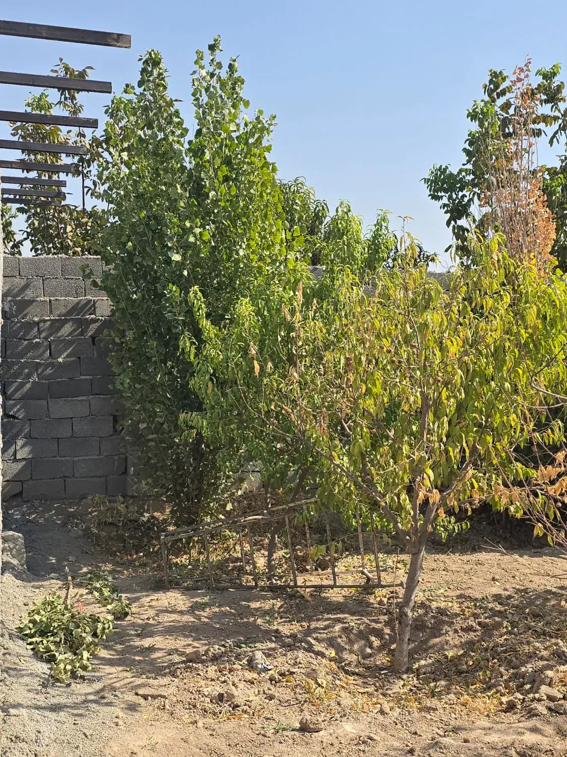 باغچه ۳۰۴ متری/چسب بافت /سهمیه آب|فروش زمین و ملک کلنگی|اسلامشهر, مطهری|دیوار