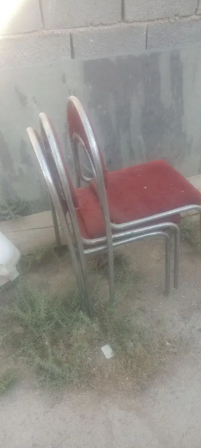 صندلی درحد نو|صندلی و نیمکت|شیراز, گچی|دیوار