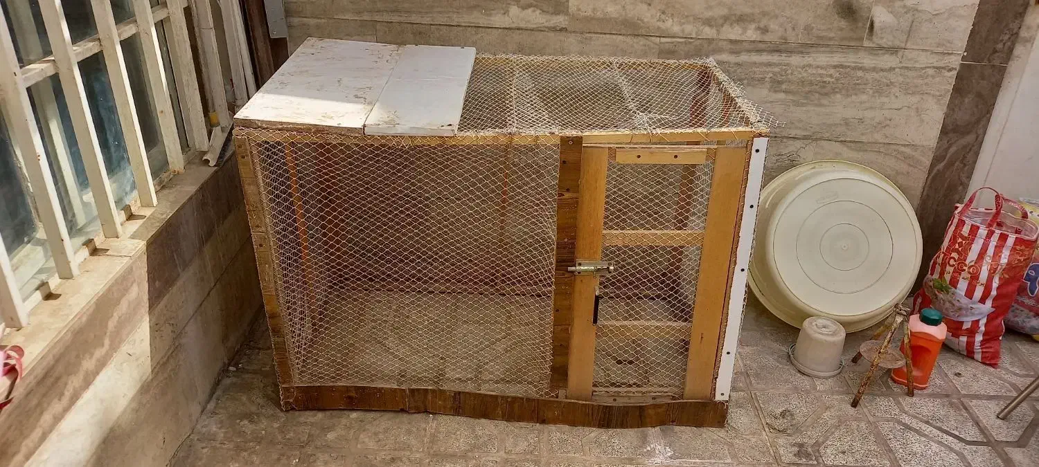 قفس پرنده|لوازم جانبی حیوانات|مشهد, سمزقند|دیوار