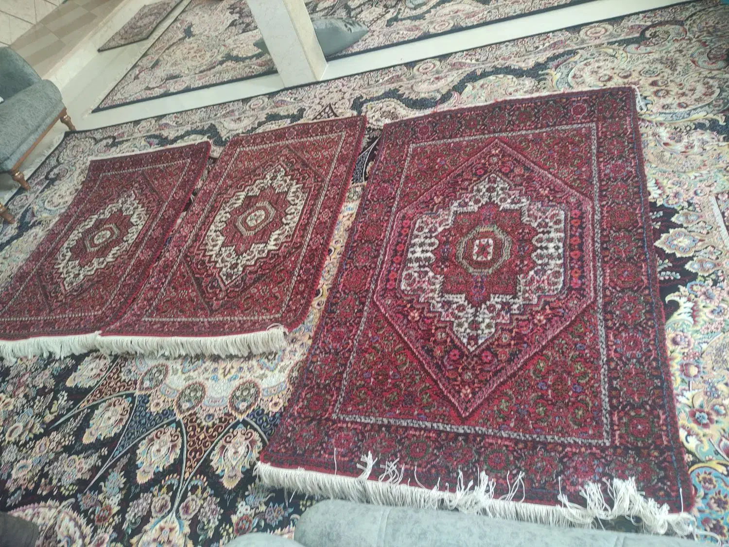 یک جفت زرچرک ویک زرنیم|فرش|زنجان, |دیوار