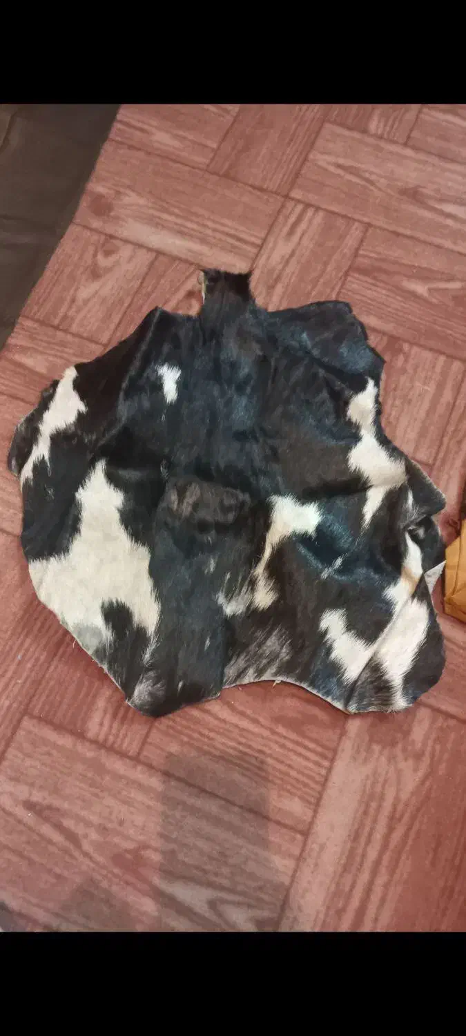 لوازم چرم دوزی|لوازم خیاطی و بافتنی|اهواز, گلستان|دیوار