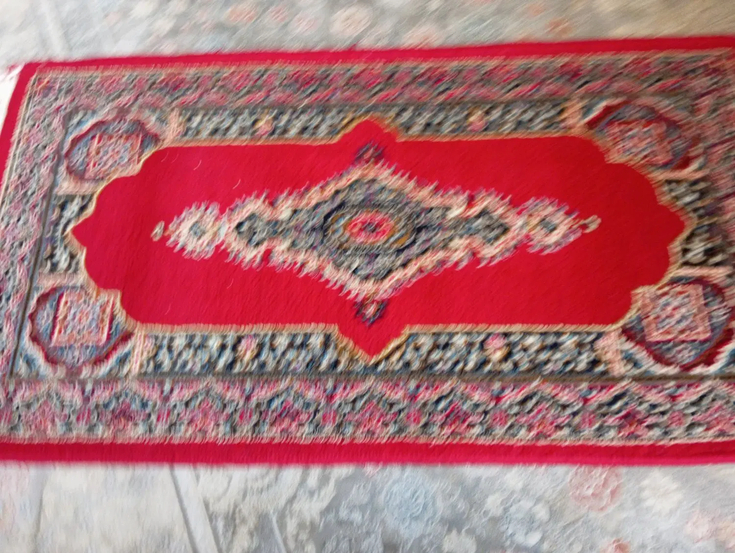 پادری|پادری|کرج, حیدرآباد|دیوار