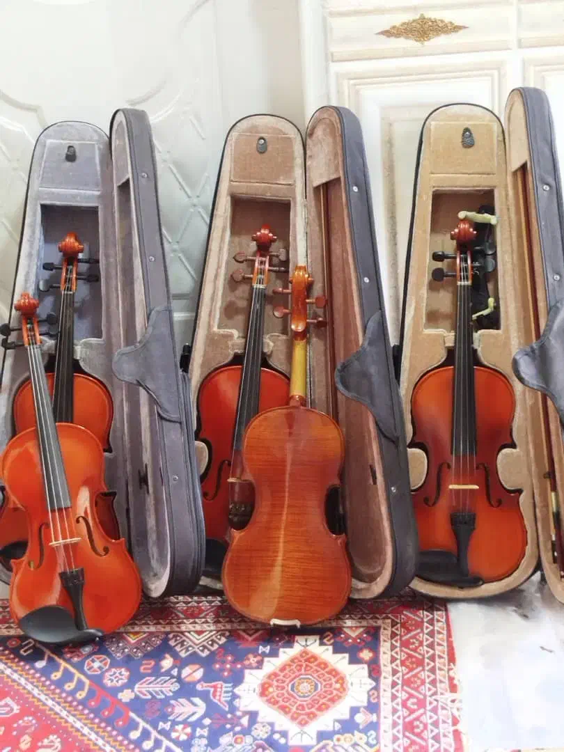 ویولون نو و درحدنو|ویولن|شیراز, مسلم|دیوار