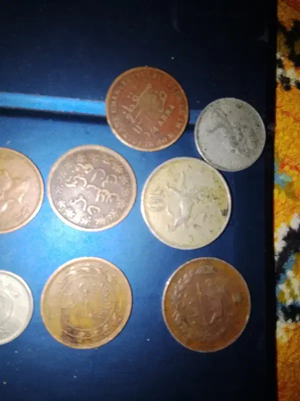 سکه های قدیمی|کلکسیون سکه، تمبر، اسکناس|پادنا علیا, |دیوار