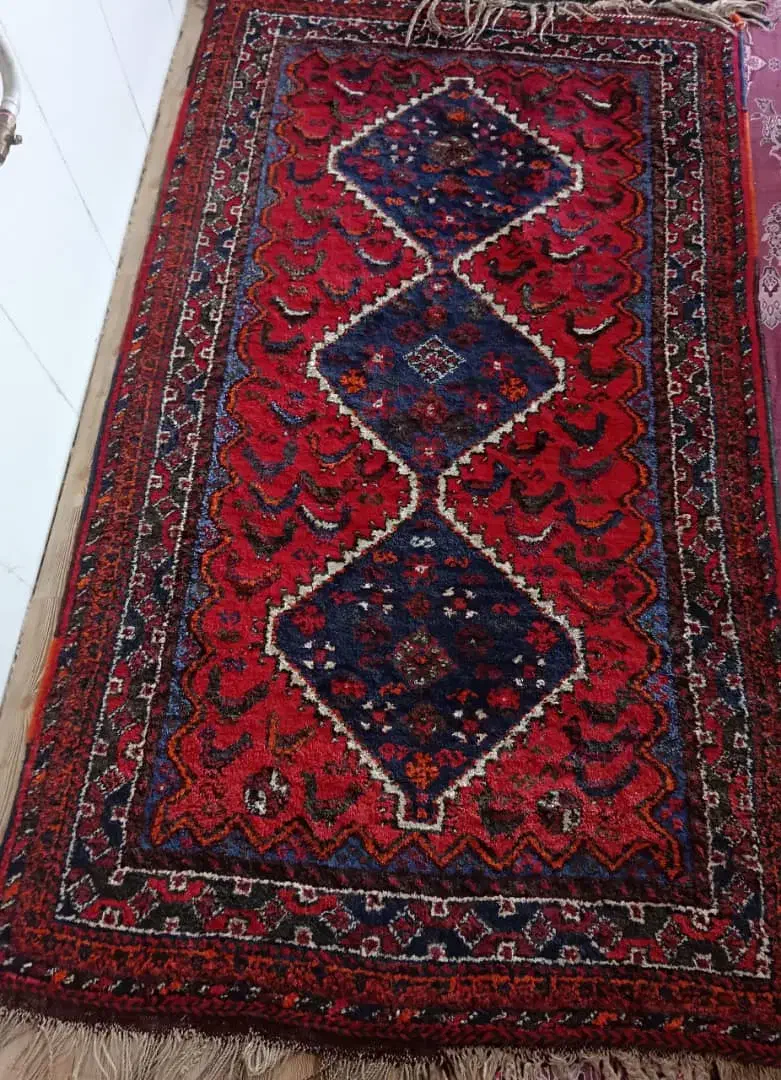 فرش دستبافت|فرش|شیراز, ارم|دیوار